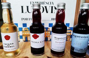 Lusovini