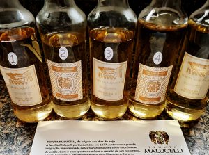 Tenuta Malucelli