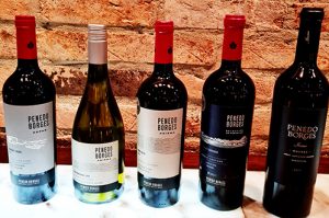 Vinhos Penedo Borges