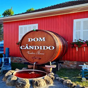 Dom Cândido