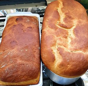 Meus pães