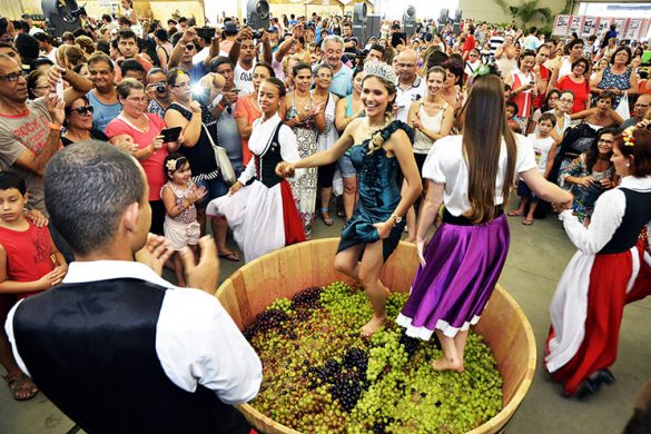 Pisa das uvas na Festa da Uva de Jundiaí-divulgação Divulgação