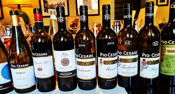 Todos os vinhos degustado em 2022 na Pio Cesare
