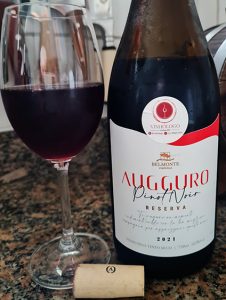 ugguro Pinot Noir Reserva 2021na taça