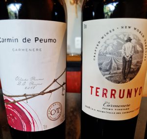 Carménères Cellar Collection da Concha Y Toro Carmín de Peumo e Terrunyo