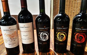 Vinhos Doña Paula degustados na masterclass