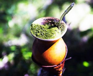 Erva-Mate-Mate Guayrá-divulgação