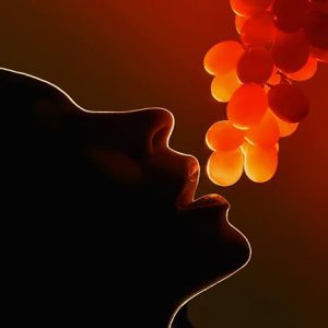 O prazer de colher uvas-divulgação