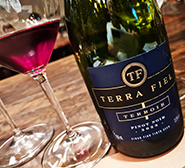 Terra Fiel Terroir Pinot Noir 2023-Vinícola Terra Fiel