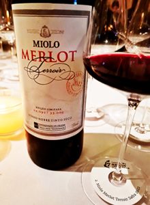 Merlot Terroir 2022