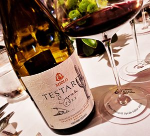 Testardi Syrah 2022